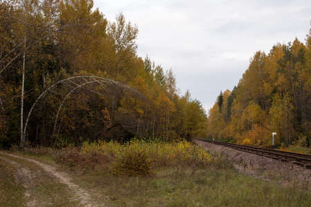 Autumn park and forest under clear clear skyの写真素材