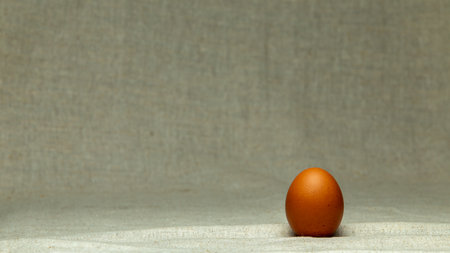 Healthy and organic food ingredients, fresh chicken eggs