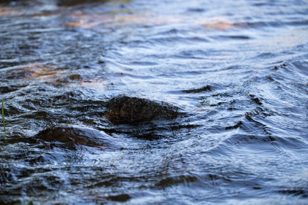 Spring background Stream of water in the forestの写真素材