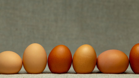 Healthy and organic food ingredients, fresh chicken eggs