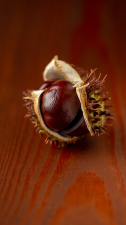 Autumn, chestnut fruits with shell fragments. Chestnuts close-up.の写真素材