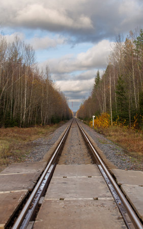Industrial landscape with railroad, sun, trees and green grassの写真素材