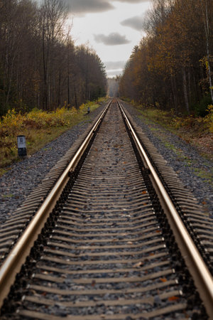 The railway track stretches into the distance towards the horizon, autumn timeの写真素材