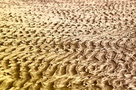 Beach ripples in the sand