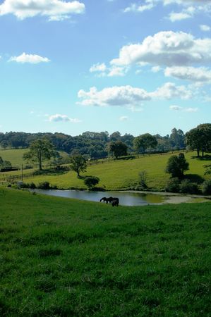 country scene for background use of maleny queensland sunshine coastの写真素材