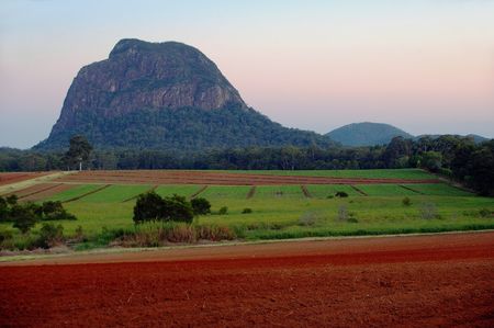background view of pineapple fields of the glass house mountians areaの写真素材