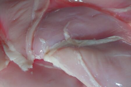 Raw chicken breast fillet as background macroの写真素材