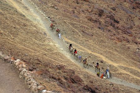 Camel train in mount Sinai place of ten commandments and Moses   の写真素材