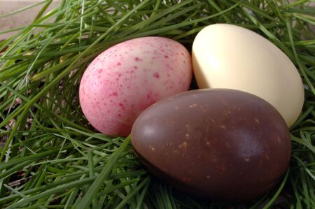 chocolate easter eggs in long grass nest