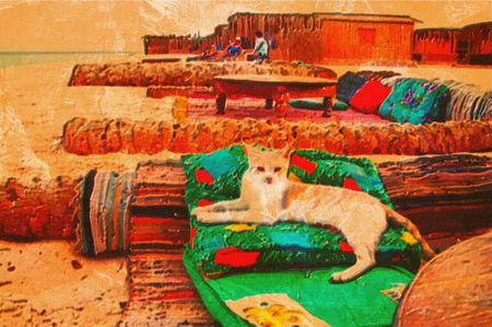 original oil painting of some stray catの写真素材