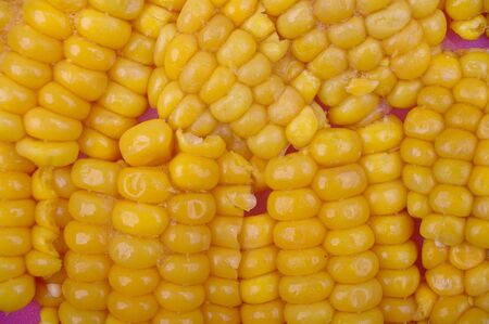corn removed from cob unique background textureの写真素材