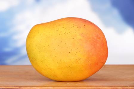 mango tropical fruit with background vivid image の写真素材