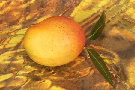 mango tropical fruit with background vivid image の写真素材