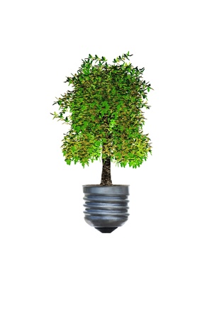 conservation tree light buld 3d concept renderの写真素材