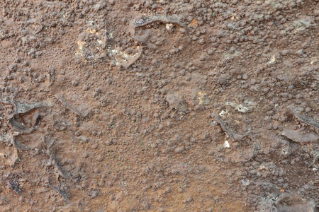 rust background texture of old boat wreck on shoreの写真素材