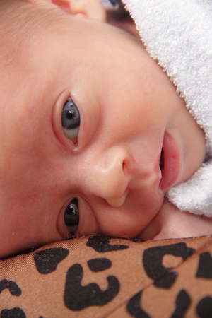 newborn infant baby on fur baby rug having nap timeの写真素材