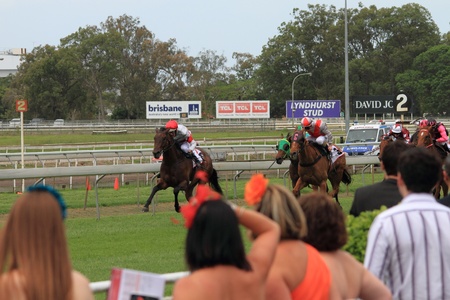 BRISBANE, AUSTRALIA  NOV 01 : Onlookers watch race four Eagle Farm Racourse as part of Melbourne Cup events Australias largest race November 01, 2011 in Brisbane, Australiaのeditorial素材