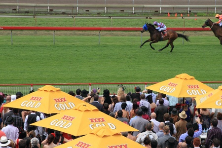 BRISBANE, AUSTRALIA  NOV 01 : Crowds trackside race five Eagle Farm Racourse as part of Melbourne Cup festival events November 01, 2011 in Brisbane, Australia のeditorial素材