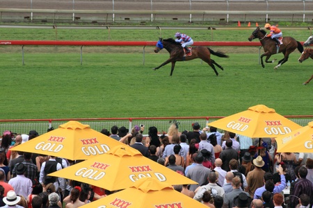BRISBANE, AUSTRALIA  NOV 01 : Crowds trackside race five Eagle Farm Racourse as part of Melbourne Cup festival events November 01, 2011 in Brisbane, Australia のeditorial素材