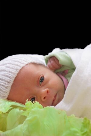 baby born in cabbage patch isolated concept imageの写真素材