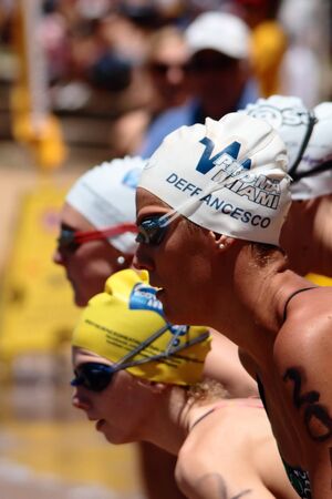 BRISBANE, AUSTRALIA  NOV 27 :Elite female swimmers lining up for sprint start dash for cash Great Australian Swim Series race November 27, 2011 in Brisbane, Australia のeditorial素材