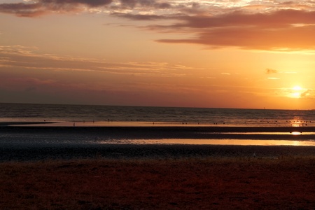 beach sunrise background brisbane bayside sandgate australiaの写真素材