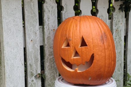 spring halloween in brisbane australia pumkin on picket fenceの写真素材