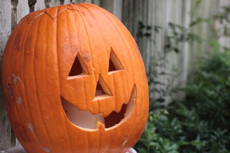 spring halloween in brisbane australia pumkin on picket fenceの写真素材