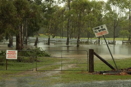 BRISBANE, AUSTRALIA - JAN 25 : One year on Brisbane flooding again, folld waters cover Rothwell cattle yard January 25, 2012 in Brisbane, Australiaのeditorial素材