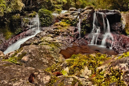 world heritage area elabana falls in the gold coast hinterland lamington national parkの写真素材
