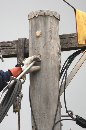 linesman rewiring electricty pole brisbane queensland brisbane australiaの写真素材