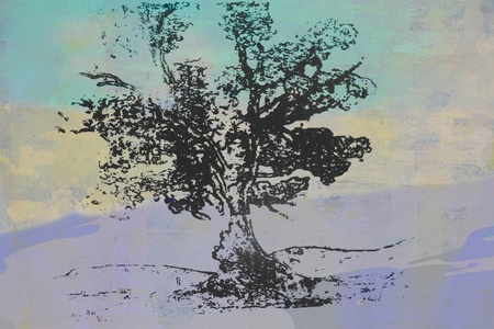 original oil painting of australian gum tree on canvas ideal for giclee printsの写真素材
