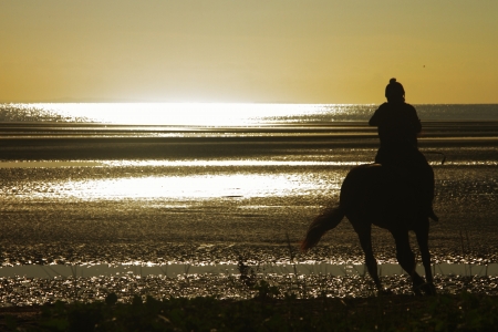 Jockey on racehorse brisbane beach racing silhouetteの写真素材