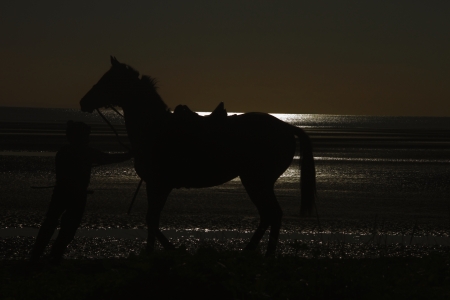 Jockey on racehorse brisbane beach racing silhouetteの写真素材