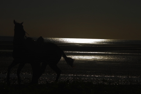 Jockey on racehorse brisbane beach racing silhouetteの写真素材
