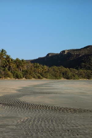 Smalleys Beach and Beachcomber Cove area Cape Hillsborough national park queensland australiaの写真素材
