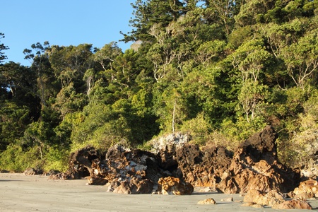 volcanic craggy rock beach with norfolk background Hillsborough national park queensland australiaの写真素材