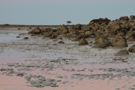  Unique rocks of Smalleys Beach and Beachcomber Cove area Cape Hillsborough national park queensland australiaの写真素材