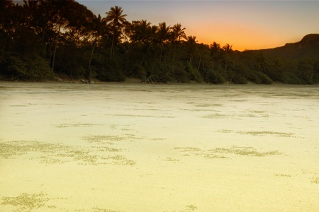 Smalleys Beach and Beachcomber Cove area Cape Hillsborough national park queensland australiaの写真素材