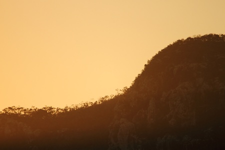 Mount oso eucalypt forest silhouette  cape Hillsborough の写真素材