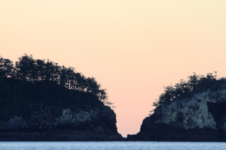 Norfolk island pine silhouette  cape Hillsborough far north tropical queensland australiaの写真素材