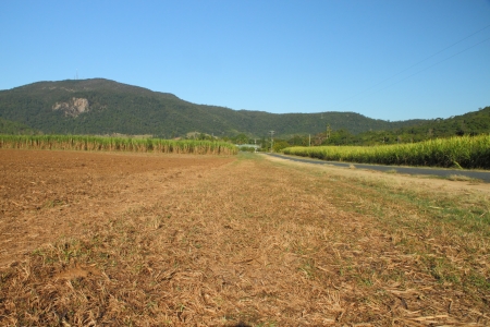 sugar cane capital of the world mackay region north queensland australiaの写真素材