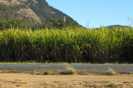 sugar cane capital of the world mackay region north queensland australiaの写真素材