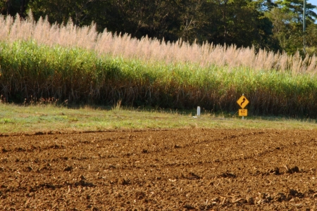 sugar cane capital of the world mackay region north queensland australiaの写真素材