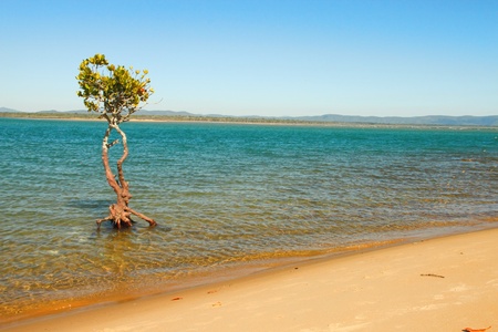 Landing point of Captain Cook during white discovery of Australia in 1770 round hill creek mouthの写真素材