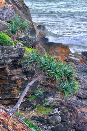 Landing point of Captain Cook during white discovery of Australia in 1770の写真素材