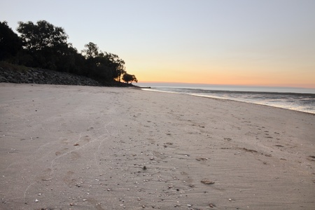 Hervey bay australia whale watching capital for humpbacksの写真素材