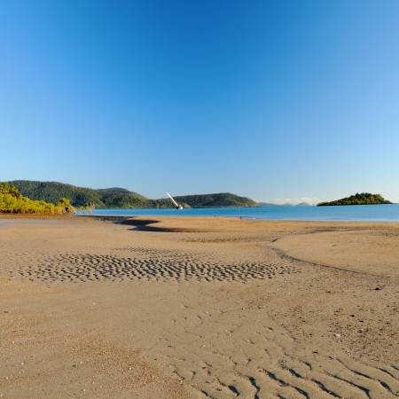 cannonvale beach reserve in Airlie Beachの写真素材