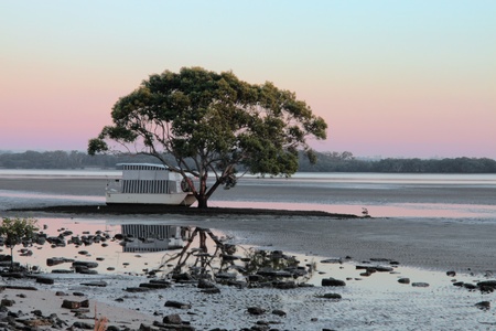 house boat parked under a tree beeched sunrise brisbane queensland australiaの写真素材