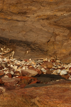 rock texture background nature reserve brisbane australiaの写真素材